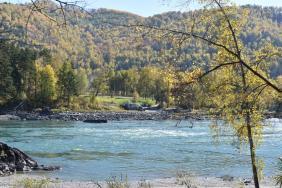 Фотоконкурс Золототая осень на Алтае 2018. Старый Айский мост. 