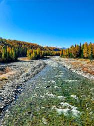 Фотоконкурс Золотая осень на Алтае 2020.Улаганский перевал. Дата: 20.09.20
