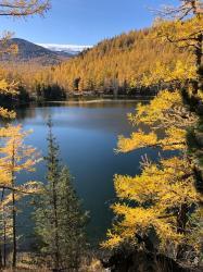 Фотоконкурс Золотая осень на Алтае 2020. Озеро Ару кем. Дата: 09.2020