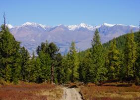 Фотоконкурс Золототая осень на Алтае 2018.  Курайская степь, вид на Северо-Чуйский хребет, 