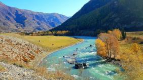 Фотоконкурс Золотая осень на Алтае 2020. Неподалёку от Акташа. Дата:05.10.2019