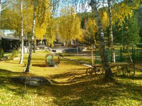 Фотоконкурс Золототая осень на Алтае 2019