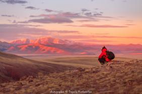 Фотоконкурс Золотая осень на Алтае 2020.Чуйская степь, окрестности Кокоря. Дата: 10.2020