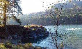 Фотоконкурс Золототая осень на Алтае 2018