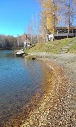 Фотоконкурс Золототая осень на Алтае 2018