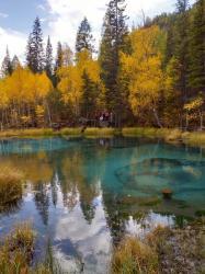 Фотоконкурс Золотая осень на Алтае 2019