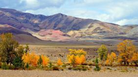 Фотоконкурс Золотая осень на Алтае 2021