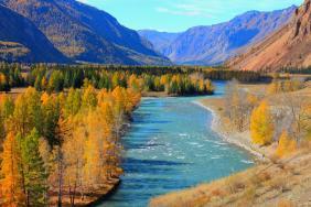 Фотоконкурс Золототая осень на Алтае 2018. Река Чуя у села Чибит