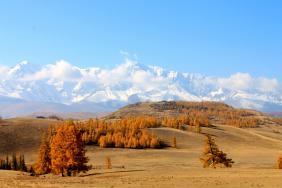 Фотоконкурс Золототая осень на Алтае 2018. Северо-Чуйский хребет.
