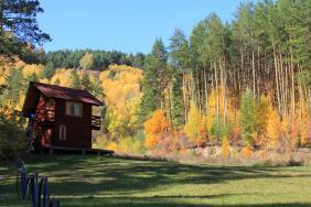 Фотоконкурс Золототая осень на Алтае 2018. Белокуриха.