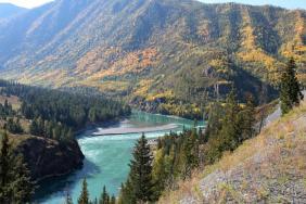 Фотоконкурс Золотая осень на Алтае 2019