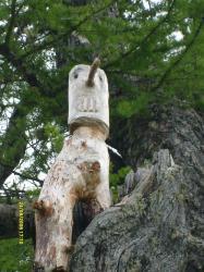 Фотоконкурс Смехотурики 2022 Автор: Татьяна Ковалева 