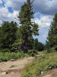 Ты заблудился… но по правилам, август 2024, пеший поход к Каракольским озёрам