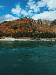 Фотоконкурс Золототая осень на Алтае 2018. Недалеко за селом Еланда. 