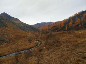 Фотоконкурс Золотая осень на Алтае 2020. В районе Ороктойского моста. Дата: 10.2020
