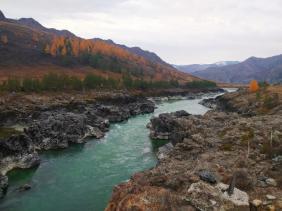 Фотоконкурс Золотая осень на Алтае 2020.В районе Ороктойского моста. Дата: 10.2020