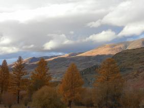 Фотоконкурс Золототая осень на Алтае 2018.  Чаган-Узун