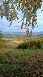 Алтай. Вид с горы Верхний Притор (634 метра над уровнем моря) 26.09.2024  Автор: Татьяна Лактюшина