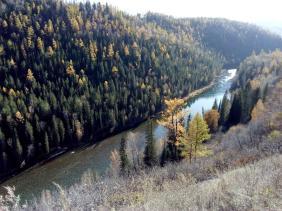 Фотоконкурс Золотая осень на Алтае 2019