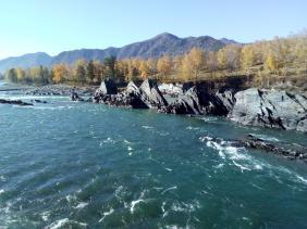 Фотоконкурс Золотая осень на Алтае 2019