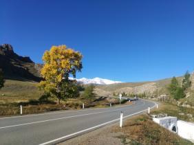 Фотоконкурс Золотая осень на Алтае 2020 Дорога по Чуйскому тракту в сторону Кош Агача. Дата:13.09.2020
