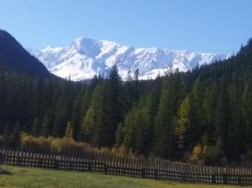 Фотоконкурс Золотая осень на Алтае 2020 Фото на турбазе Маленький рай, село Акташ. Дата: 13.09.2020