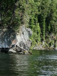 Фотоконкурс Смехотурики 2022 Автор: Серебрякова Людмила