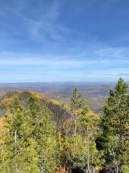 Фотоконкурс Золотая осень на Алтае 2022