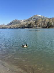 Алтай. В районе особой экономической зоны «Бирюзовая Катунь»