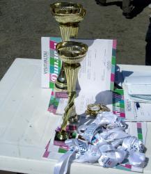 Цветение Маральника : Соревнования