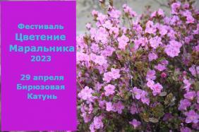 Фестиваль "Цветение маральника 2023" (программа)