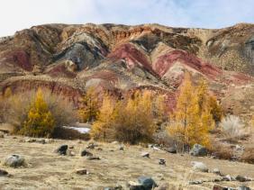 Фотоконкурс Золотая осень на Алтае 2021