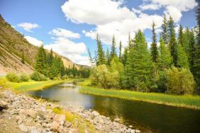 Фотоконкурс Золотая осень на Алтае 2020.Село Чибит. Дата:09.2019