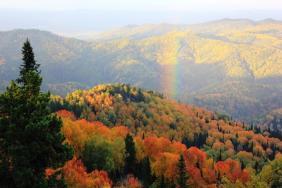 Фотоконкурс Золотая осень на Алтае 2020 Белокуриха-2.Радужные деревья. Дата: 18.09.20.