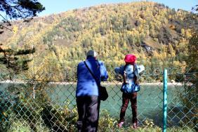 Фотоконкурс Золототая осень на Алтае 2018