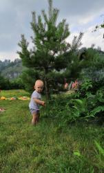 Фотоконкурс Смехотурики 2020 