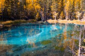 Фотоконкурс Золотая осень на Алтае 2020. Гейзерово озеро. Дата: 09.20