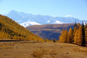 Фотоконкурс Золототая осень на Алтае 2018. Курай, Алтай.