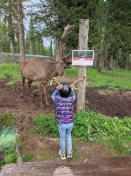 Человеческий детёныш? Зоопарк на Телецком озере. 