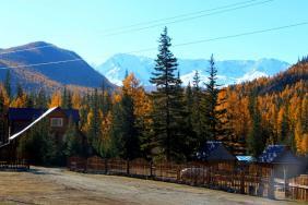 Фотоконкурс Золототая осень на Алтае 2018. 