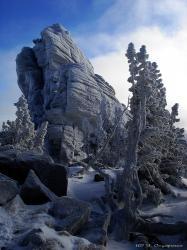 Архив Тигирекского заповедника