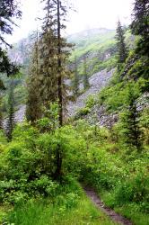 Начало тропы на каскад водопадов Шинок : Солонешенский район