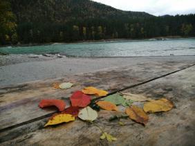 Фотоконкурс Золотая осень на Алтае 2020. Дата 18. 09. 2020 года Чемальский район, село Узнезя.