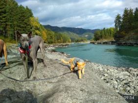 Фотоконкурс Золотая осень на Алтае 2021