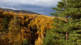 Фотоконкурс Золотая осень на Алтае 2019 