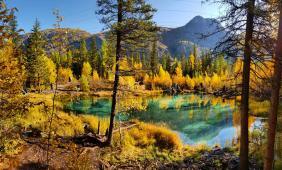 Фотоконкурс Золотая осень на Алтае 2019