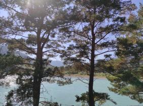 Фотоконкурс Золотая осень на Алтае 2021