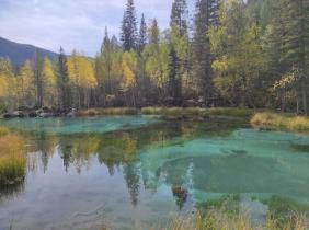 Фотоконкурс Золотая осень на Алтае 2021