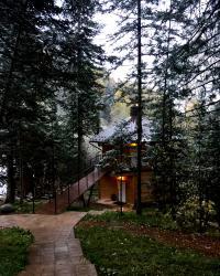 Фотоконкурс Золототая осень на Алтае 2018