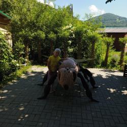 Я маленькая пчёлка, жужу-жужу-жужу, за мёдом я летаю и вовсе не тужу!, Пасека Мёдом в ухо, Айский район, июль 2025г